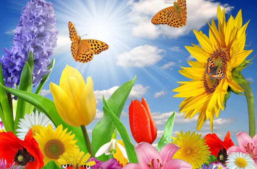 Taking care in summer